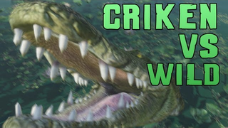 Just Because The Shark Isn't Moving Doesn't Mean It's Dead And Other <em>Far Cry 3</em> Hilarity